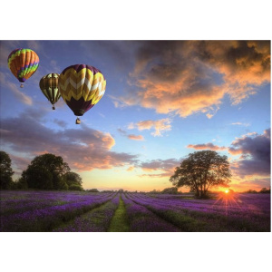 1000pc Jigsaw - A Balloon Tour (Made From High Quality European Blue Board)-0