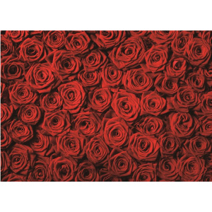 1000pc Jigsaw - The Rose (Made From High Quality European Blue Board)-0