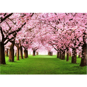 1000pc Jigsaw - Dream Sakura (Made From High Quality European Blue Board)-0